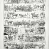 XX21929CAVA-V-cavalerie-exercices Cavalerie, exercices et manœuvres équestres, verso de la planche de 1929