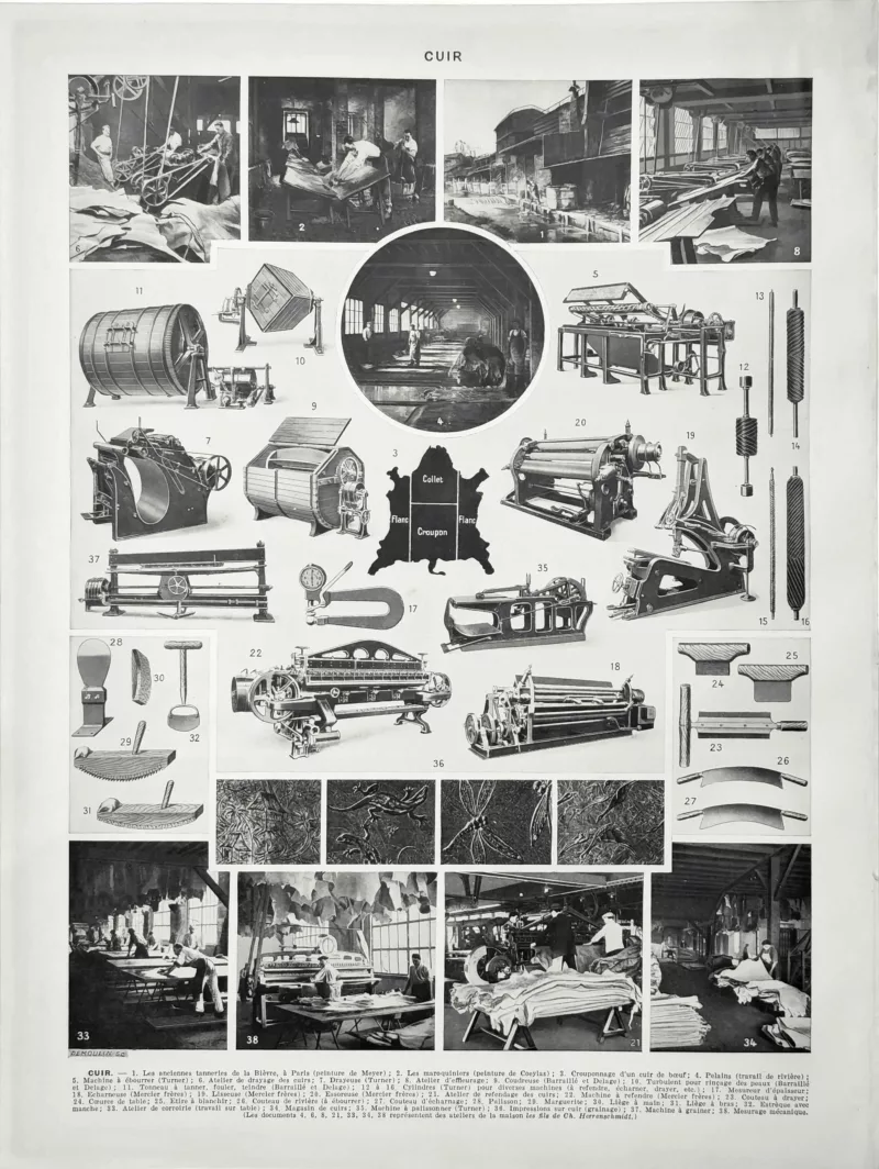Cuirs, fabrication et travail du cuir, planche encyclopédique de 1929