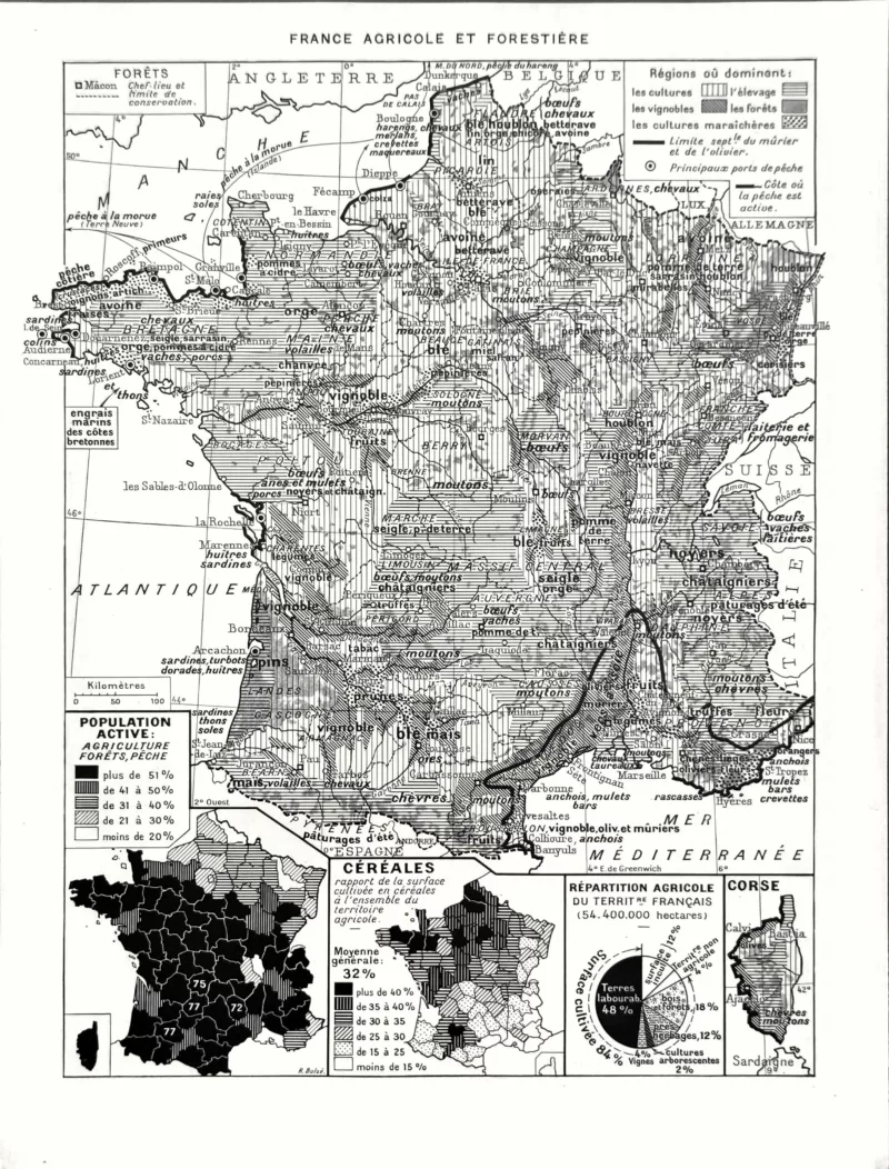 XX31930FRPH-V-france-physique France agricole et forestière, carte en noir et blanc des cultures, élevages et forêts, 1930