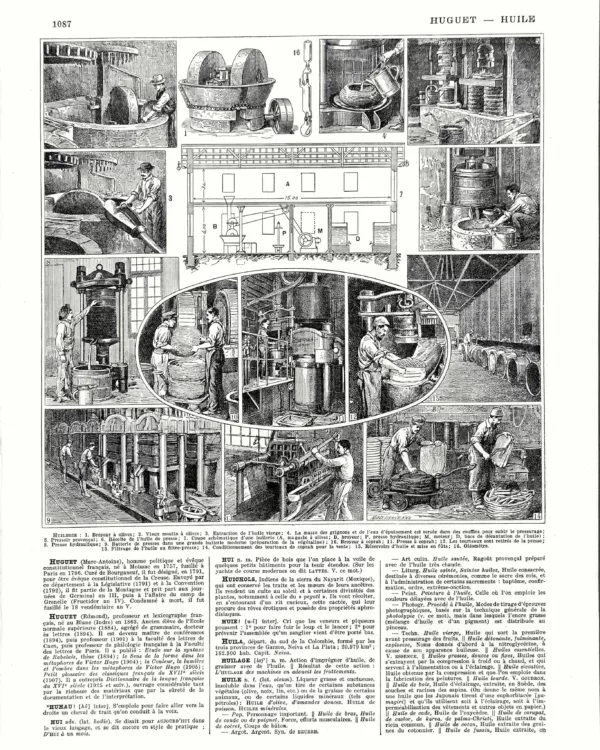 Huile, broyage des olives, presses et huilerie, planche de Jacques Maurice Dessertenne de 1930