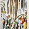 XX51932PLUM-plumes-oisaux-A10 plumes oiseaux