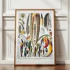 XX51932PLUM-plumes-oisaux-A12 plumes oiseaux