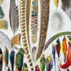 XX51932PLUM-plumes-oisaux-B10 plumes oiseaux