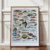poissons, animaux marins