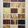 LU11922BOIA-R-bois-acajou Échantillons en couleurs d’acajou, ébène, chêne et autres essences de bois, 1922