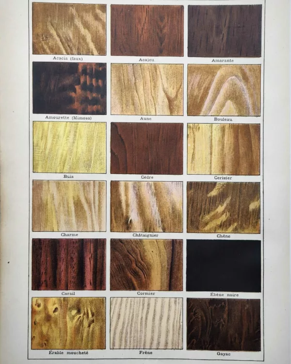 LU11922BOIA-R-bois-acajou Échantillons en couleurs d’acajou, ébène, chêne et autres essences de bois, 1922
