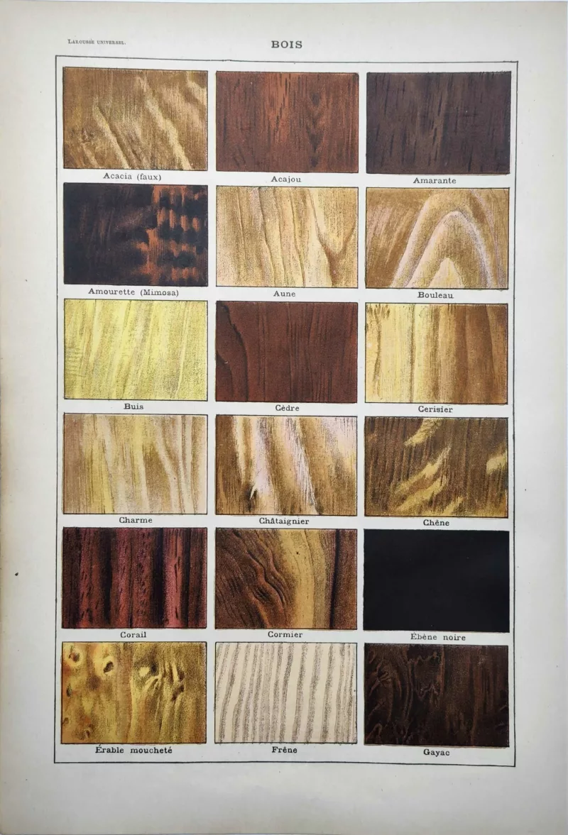 LU11922BOIA-R-bois-acajou Échantillons en couleurs d’acajou, ébène, chêne et autres essences de bois, 1922