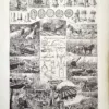 LU11922BOIA-V-bois-acajou Exploitation forestière, abattage et transport du bois illustrés par Dessertenne, 1922