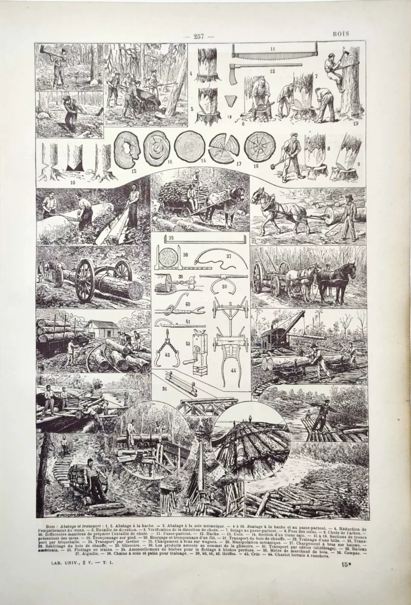 LU11922BOIA-V-bois-acajou Exploitation forestière, abattage et transport du bois illustrés par Dessertenne, 1922