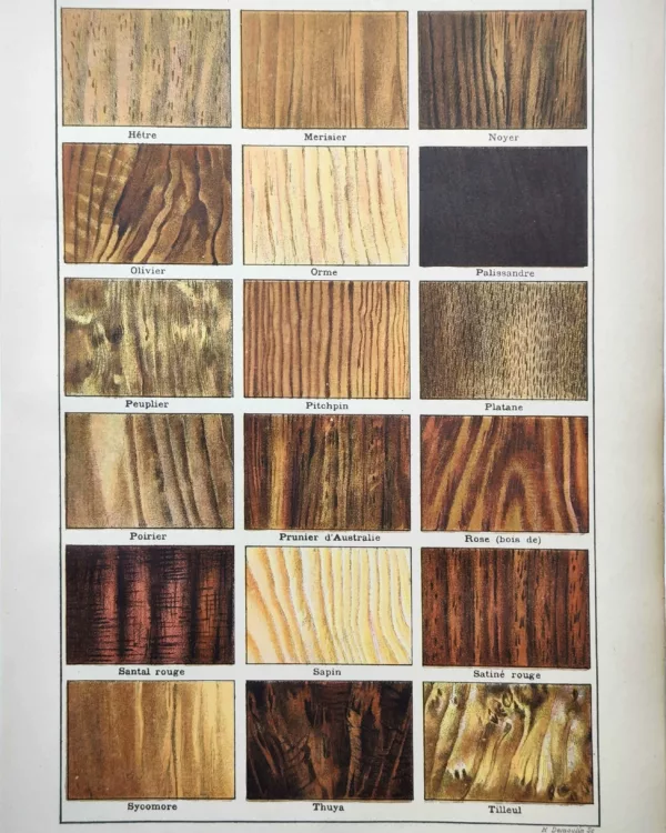 Échantillons en couleurs de hêtre, noyer, palissandre et autres essences de bois, 1922