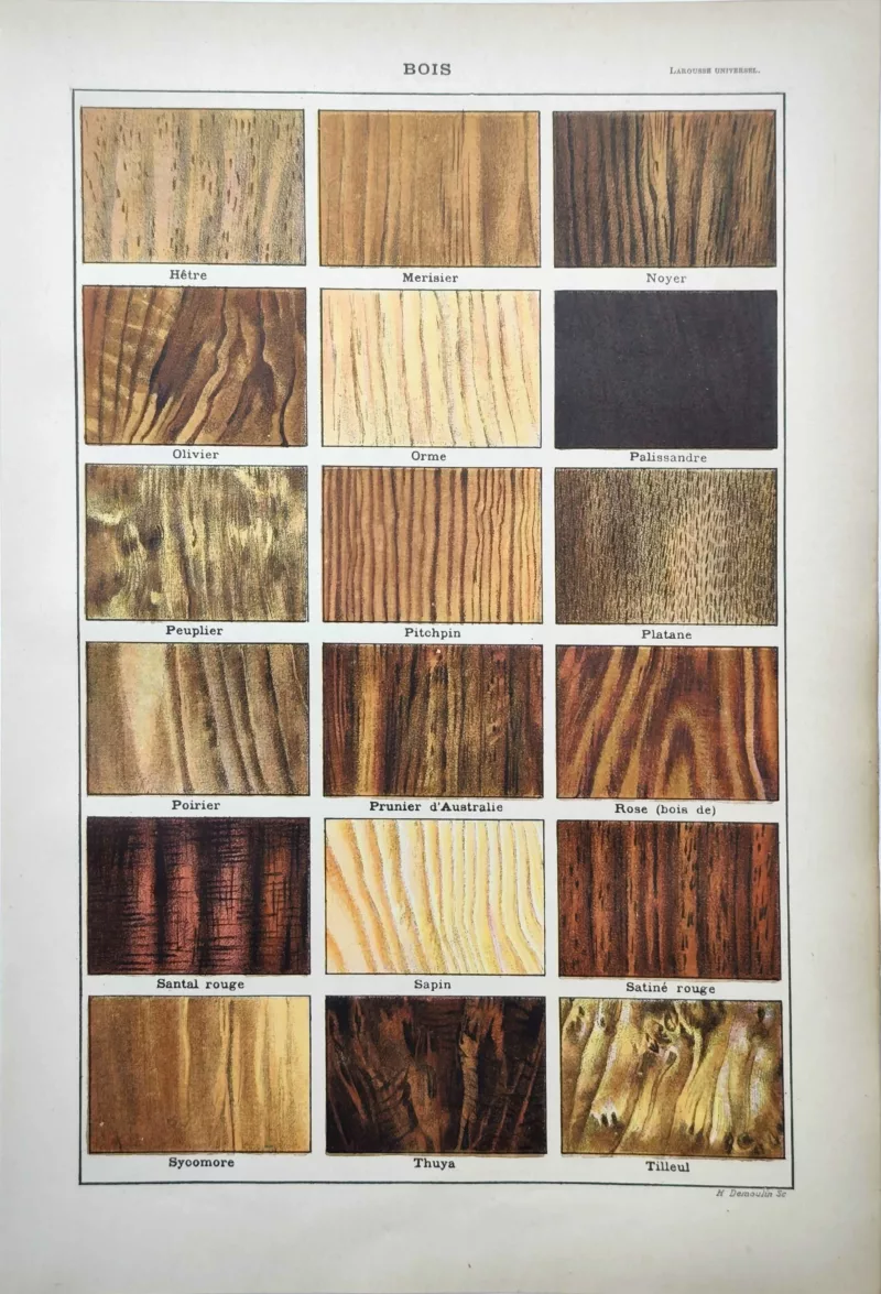 LU11922BOIH-R-bois-hetre Échantillons en couleurs de hêtre, noyer, palissandre et autres essences de bois, 1922