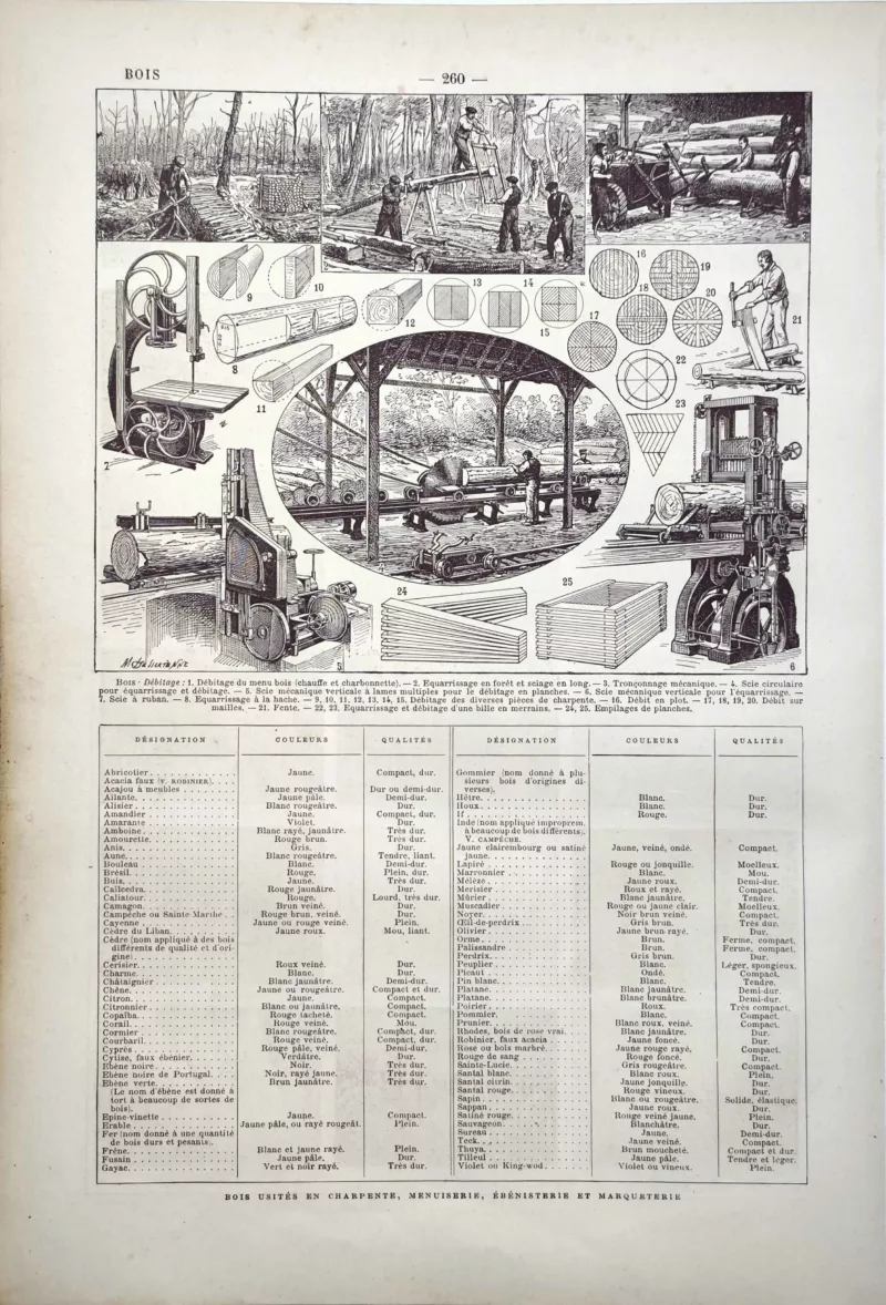 LU11922BOIH-V-bois-hetre Débitage, sciage et travail mécanique du bois, planche technique ancienne de 1922