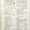 Classification botanique et grandes divisions du règne végétal, planche scientifique de 1922