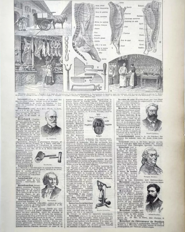 LU11922BOUC-R-boucher-boucherie Boucherie, découpe du bœuf et outils du boucher illustrés par Jacques Maurice Dessertenne, 1922