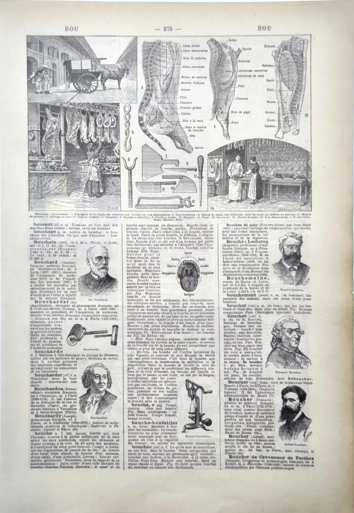 Boucherie, découpe du bœuf et outils du boucher illustrés par Jacques Maurice Dessertenne, 1922