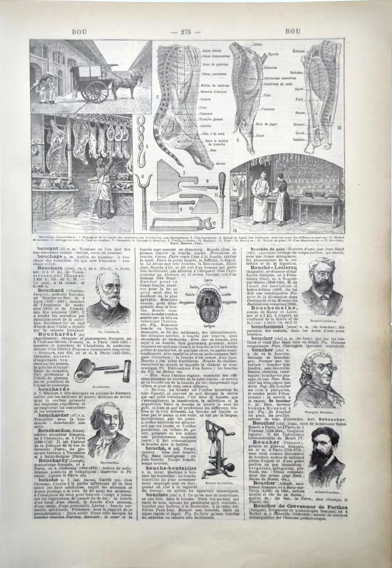 LU11922BOUC-R-boucher-boucherie Boucherie, découpe du bœuf et outils du boucher illustrés par Jacques Maurice Dessertenne, 1922