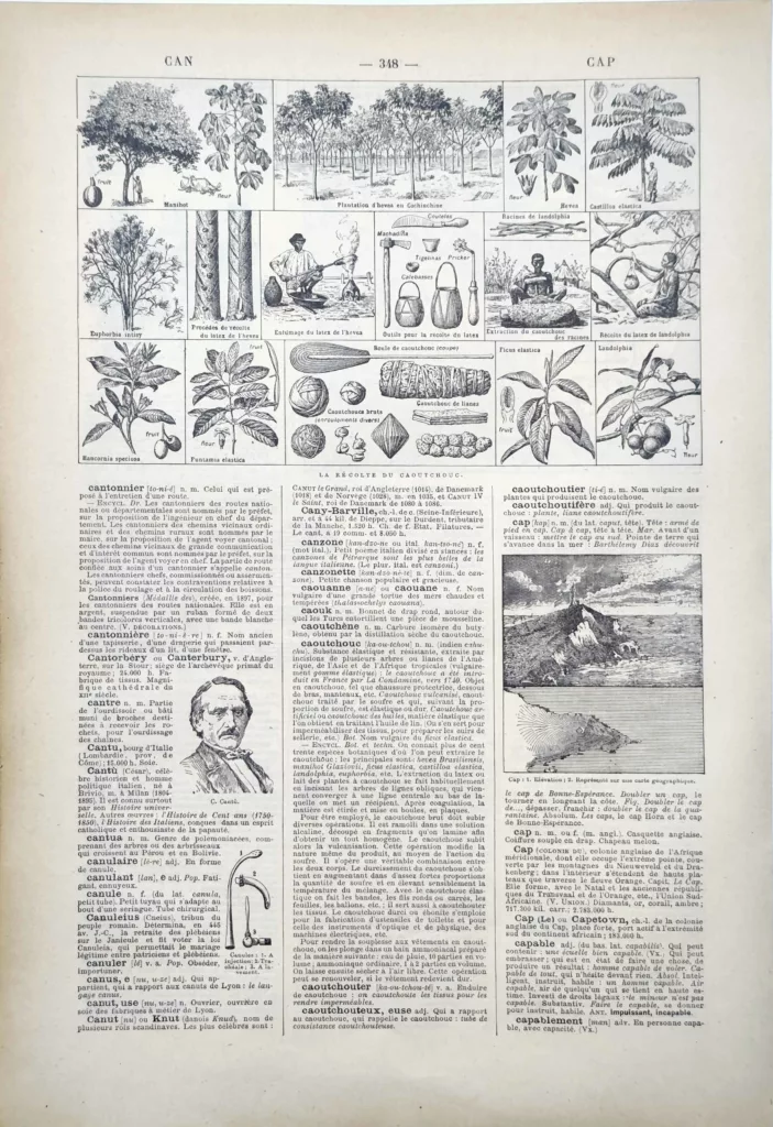 Hévéa, plantes à latex et récolte du caoutchouc, planche encyclopédique de 1922