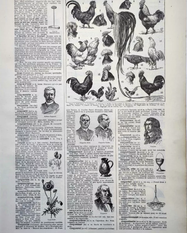 LU11922COQS-R-coqs Coqs et races de volailles illustrés par Adolphe Millot, planche zoologique de 1922