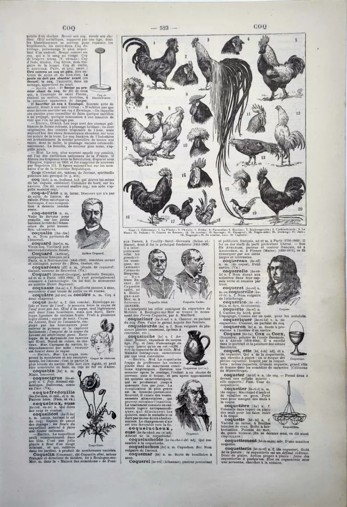 Coqs et races de volailles illustrés par Adolphe Millot, planche zoologique de 1922