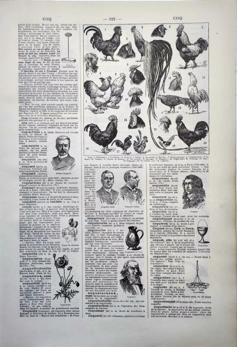LU11922COQS-R-coqs Coqs et races de volailles illustrés par Adolphe Millot, planche zoologique de 1922