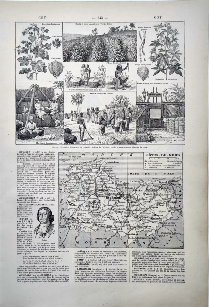 Cotonnier, récolte du coton, fibres et mise en balles, planche encyclopédique de 1922