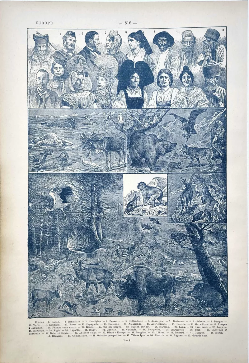 LU11922EURO-R-europe-gens-animaux Peuples et animaux d’Europe illustrés par Adolphe Millot, planche de 1922
