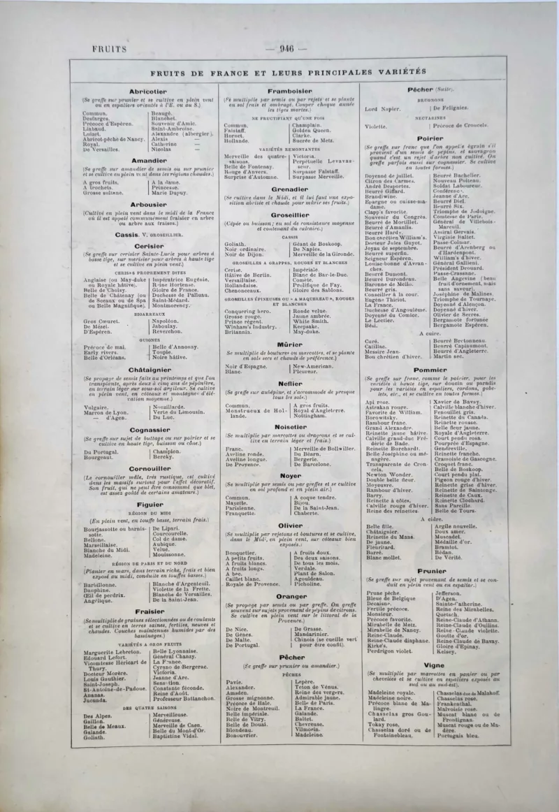 LU11922FRUI-V-fruits Fruits de France et principales variétés cultivées, tableau horticole ancien de 1922