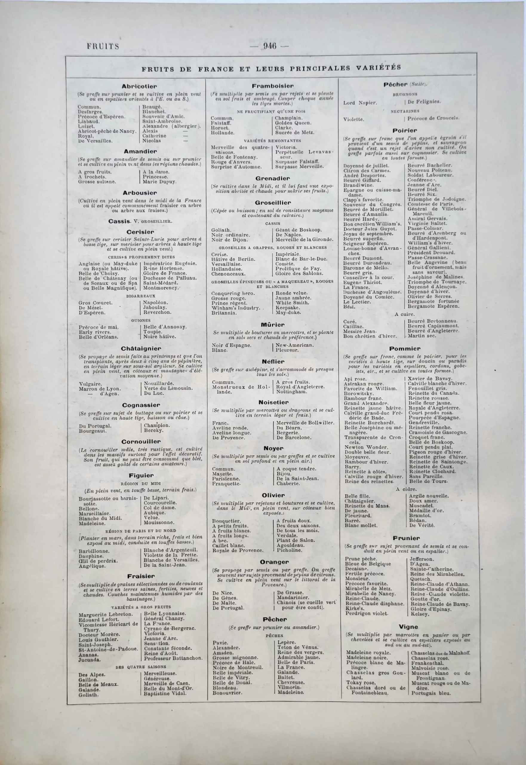Fruits de France et principales variétés cultivées, tableau horticole ancien de 1922