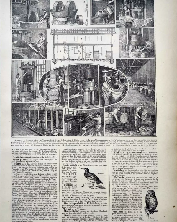 LU11922HUIL-R-huilerie Huilerie, presses et fabrication des huiles, planche ancienne 1922