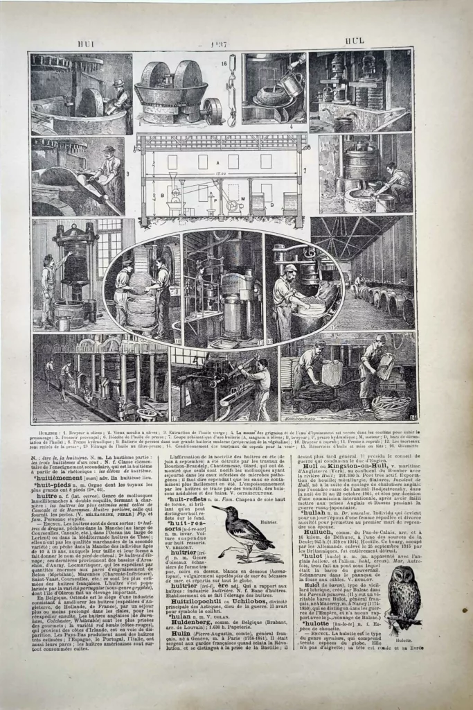 Huilerie, presses et fabrication des huiles, planche ancienne 1922