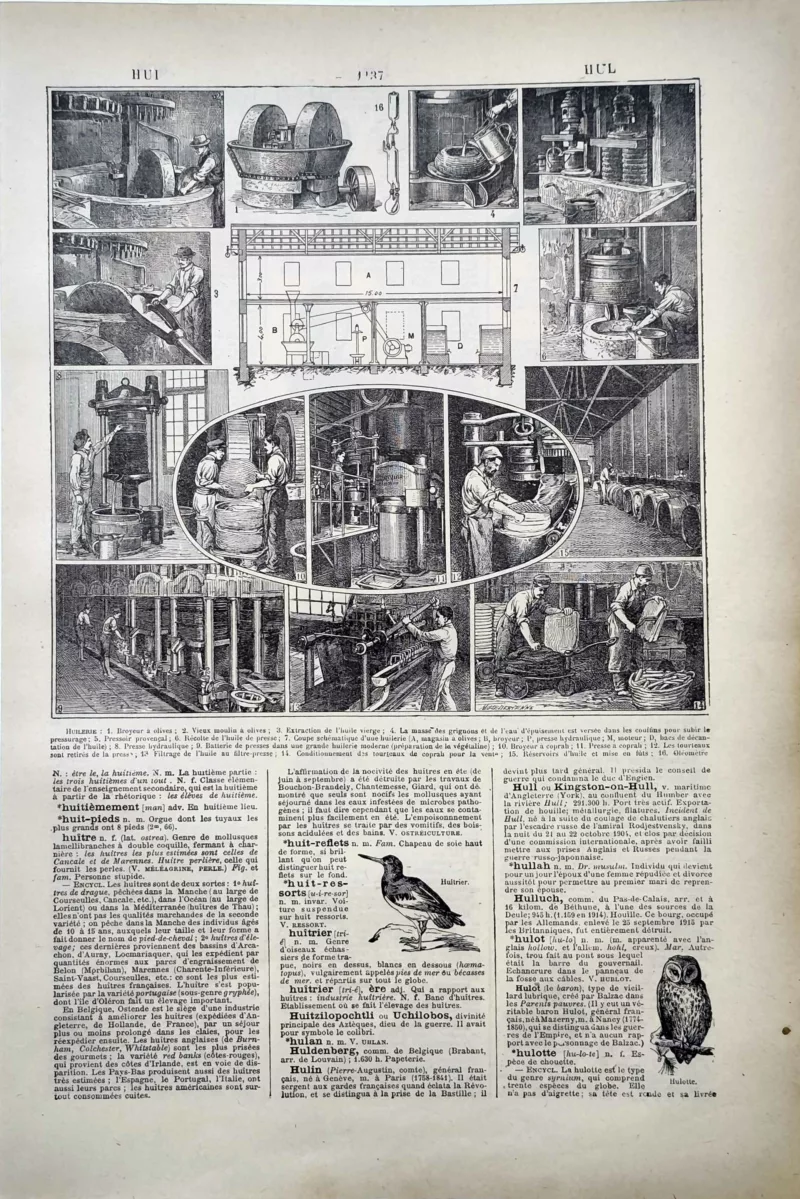 LU11922HUIL-R-huilerie Huilerie, presses et fabrication des huiles, planche ancienne 1922