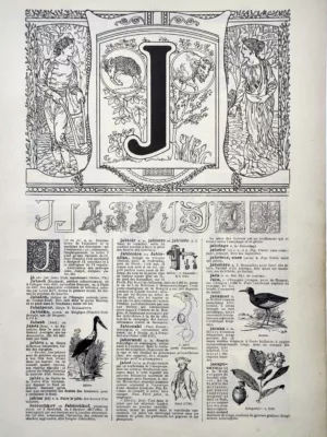 Lettre J décorative, alphabet et typographie ancienne, planche de 1922