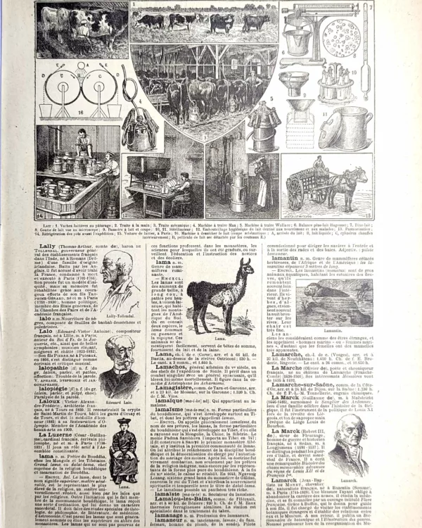 LU21923LAIT-R-Lait-vaches Production du lait, vaches laitières, traite et matériel de laiterie, planche de 1923