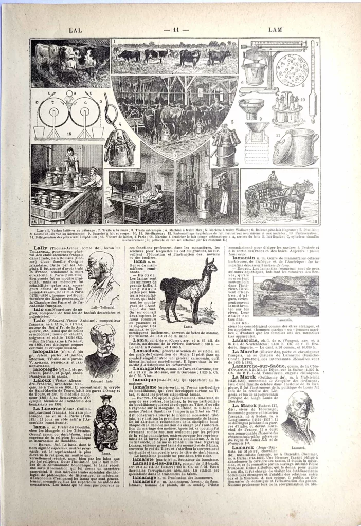 Production du lait, vaches laitières, traite et matériel de laiterie, planche de 1923