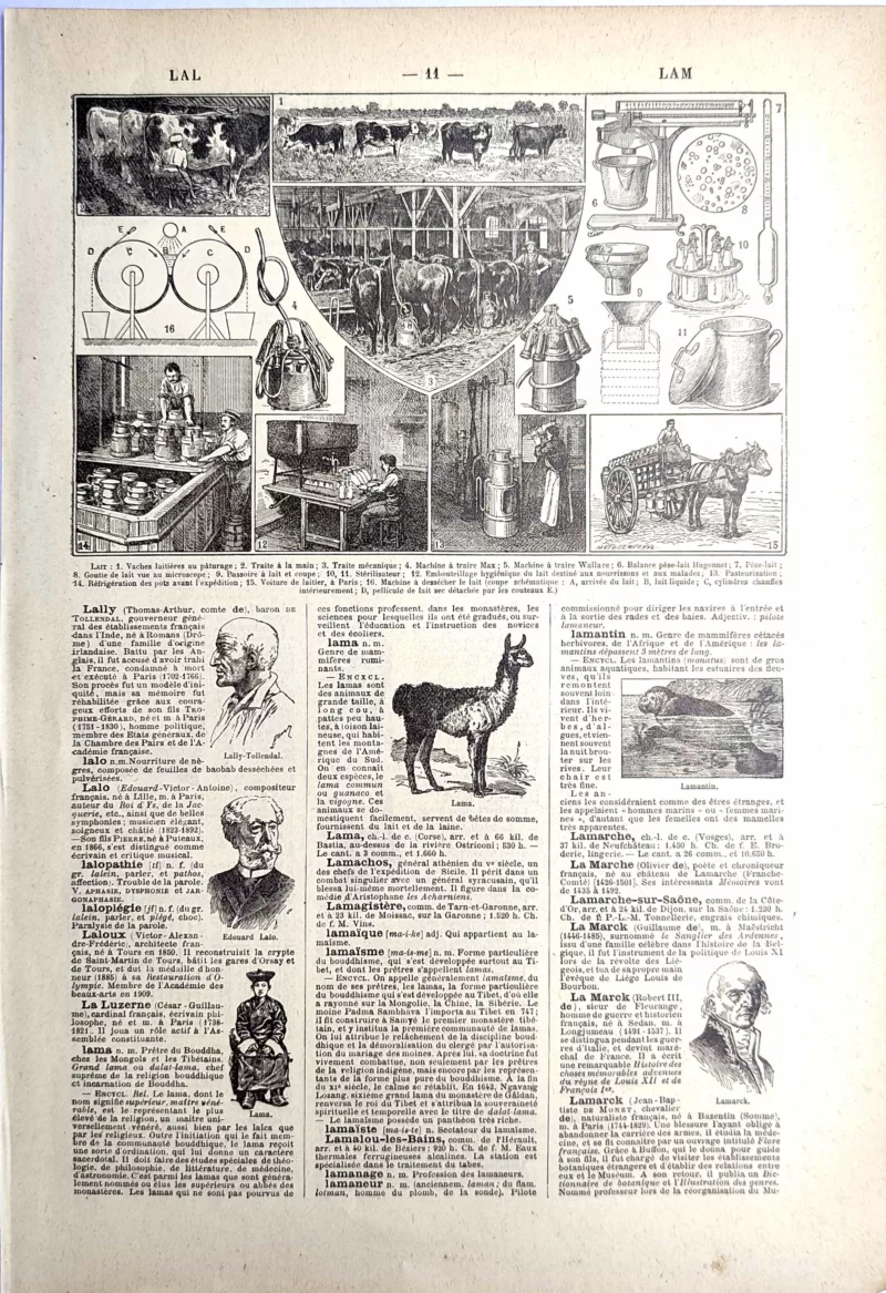 Production du lait, vaches laitières, traite et matériel de laiterie, planche de 1923