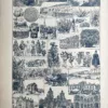 LU21923MEXI-V-Mexique-pays Mexique, paysages, habitants, cultures et monuments, planche documentaire de 1923