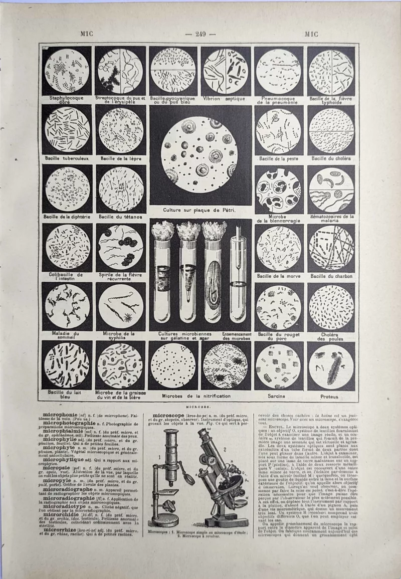 Microbes, bactéries, cultures microbiennes et microscopes, planche scientifique de 1923