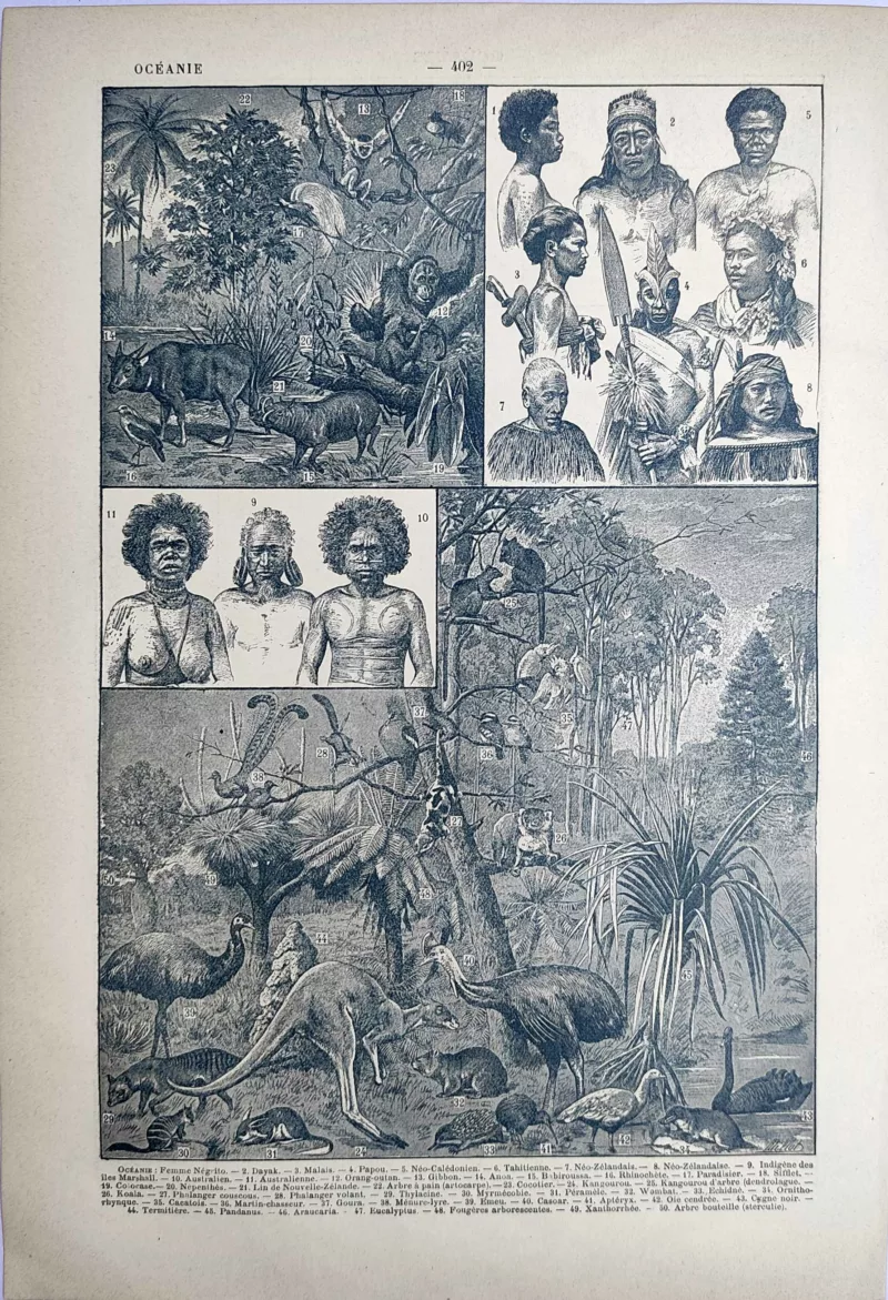 LU21923OCEA-V-Oceanie Paysages, faune et représentations humaines de l’Océanie, planche documentaire ancienne de 1923