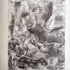 Faune marine des faibles profondeurs avec méduses, crustacés et échinodermes, planche ancienne de 1923