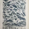 LU21923OISE-V1-Oiseaux Oiseaux utiles, passereaux et dispositifs de protection des nids, planche ancienne de 1923