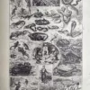 LU21923REPT-V-Reptiles Reptiles, serpents et tortues avec scènes naturalistes, planche ancienne de 1923