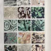 Textures et structures de roches en couleurs, planche géologique ancienne de 1923