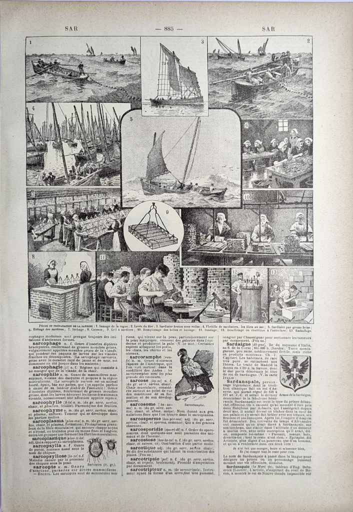 Pêche à la sardine et préparation en conserverie, planche ancienne de 1923