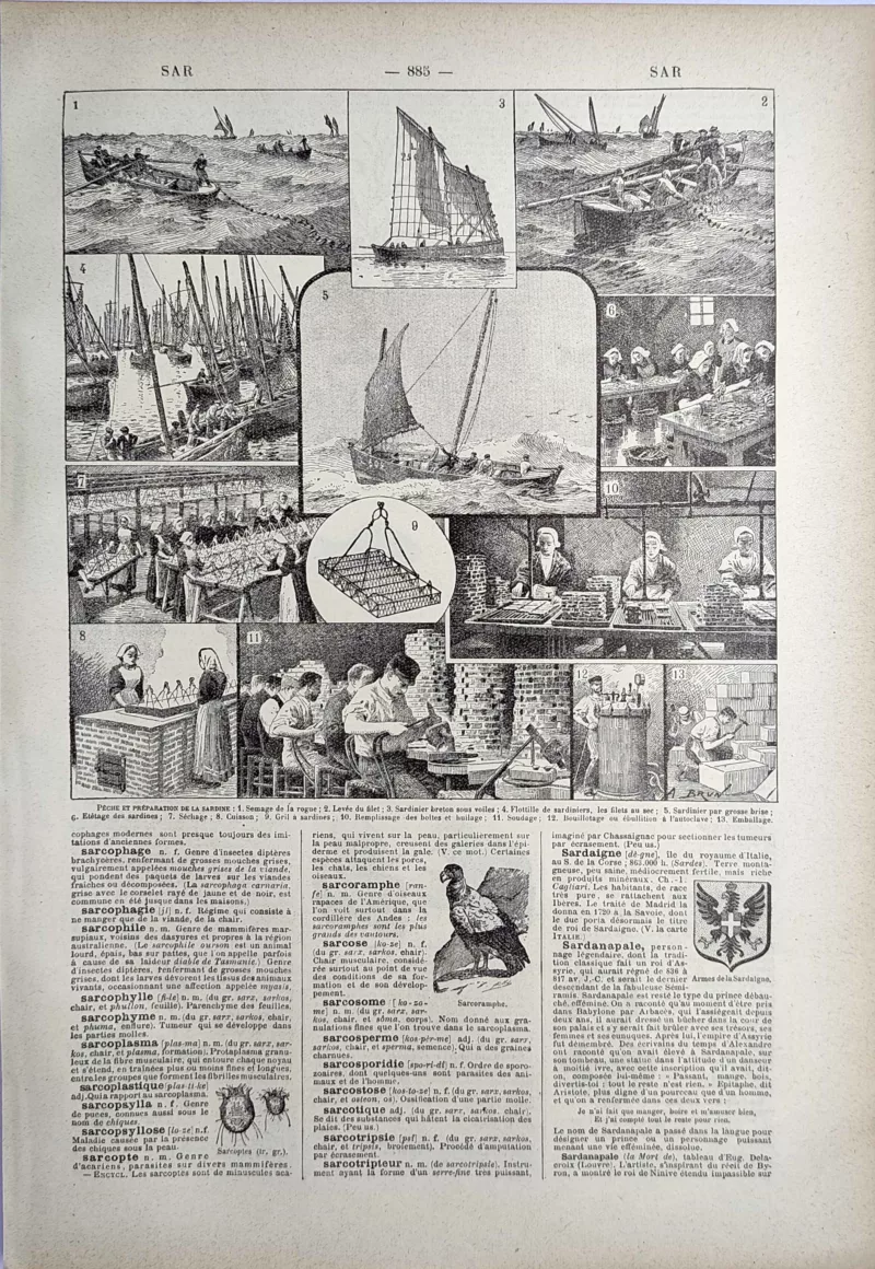 LU21923SARD-R-Peche-preparation-sardine Pêche à la sardine et préparation en conserverie, planche ancienne de 1923