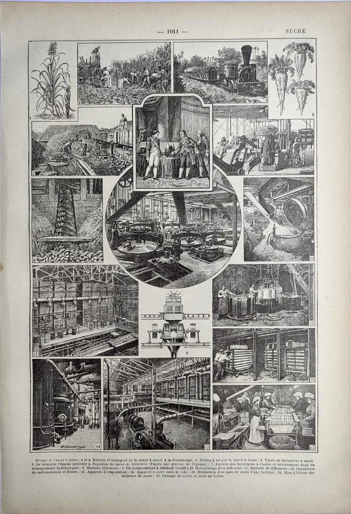 Fabrication du sucre, canne, betterave et sucrerie industrielle, planche de 1923