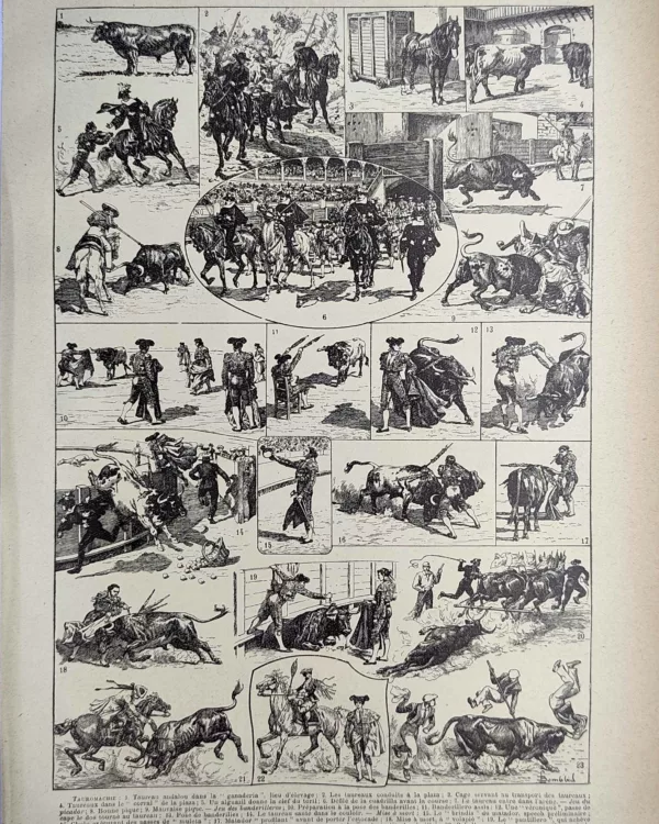 Tauromachie, taureaux et scènes de corrida, planche illustrée de 1923