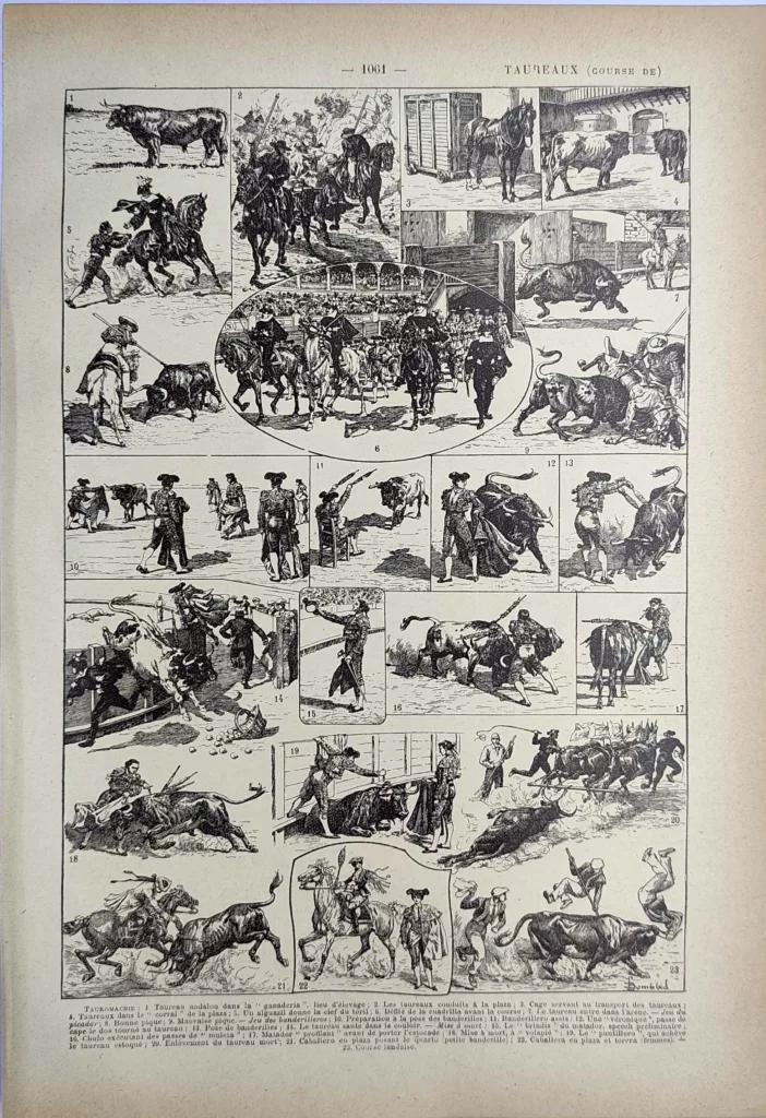 Tauromachie, taureaux et scènes de corrida, planche illustrée de 1923