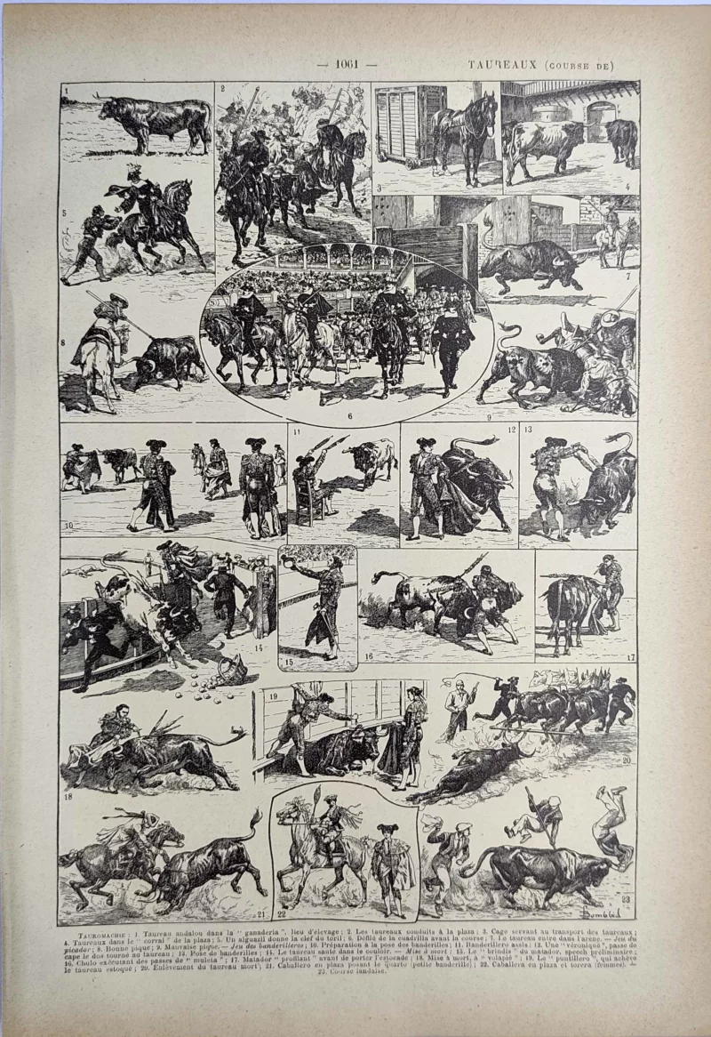 Tauromachie, taureaux et scènes de corrida, planche illustrée de 1923